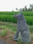 morepic-2